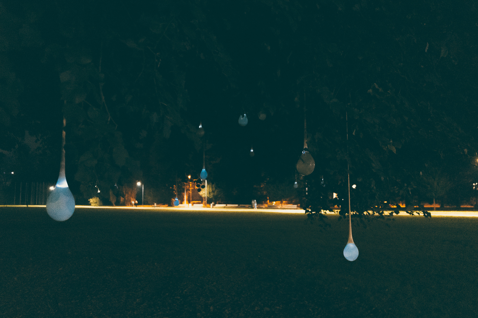 171_IMG_1808_Peter-Coch