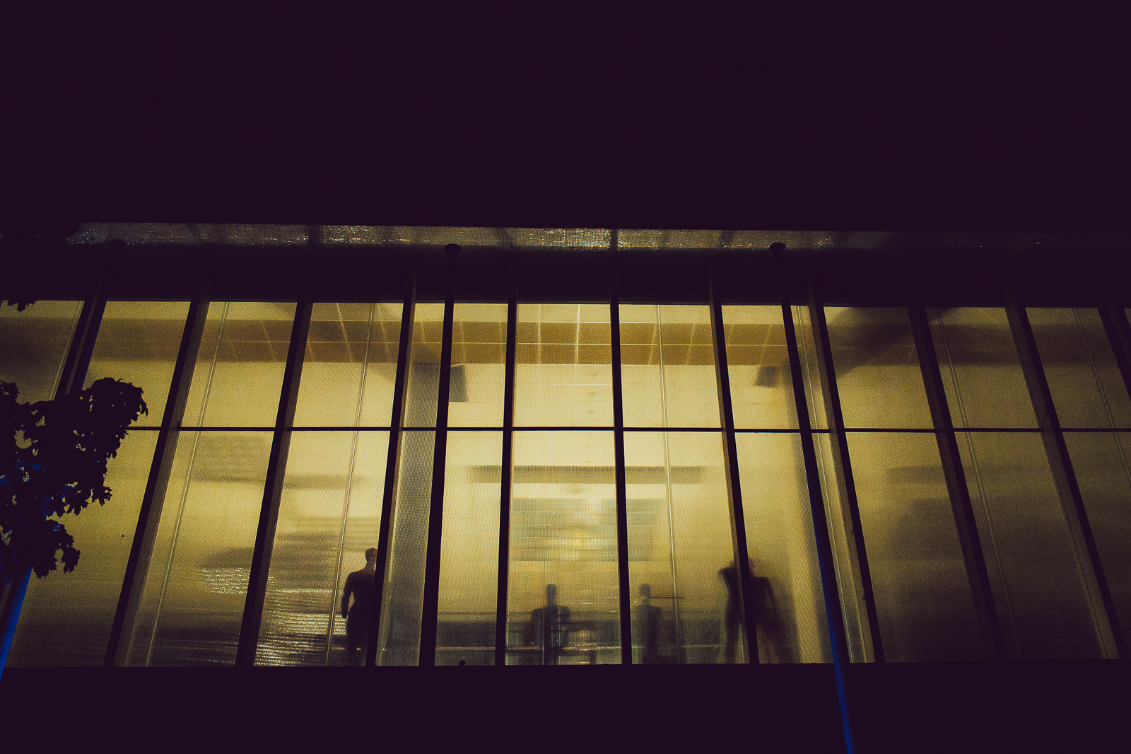 181_IMG_1882_Peter-Coch